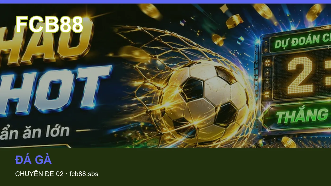 Những nhầm lẫn thường gặp khi đọc nội dung Đá gà trên FCB88